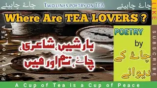 First love|Poetry for tea lovers|Tea poetry|Chae pr shayari