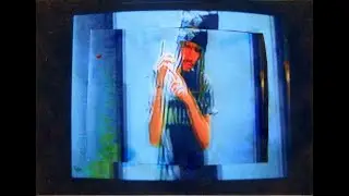 zodiak - all i want (mv)