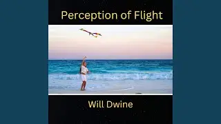 Perception of Flight