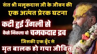 संत श्री मलूकदास जी तथा जटिया बाबा के जीवन की एक अद्भुत घटना जरूर सुनें श्री राजेंद्रदास जी महाराज