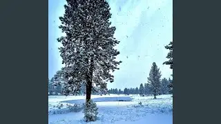Snow in the Summer/Your way My way (electric + drums)