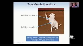 FTBT Webinar   How the wave works both mobilizer and stabilizer muscles