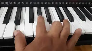MUSIC ZIRNA (Notes & Chords)