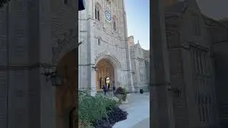 Beautiful university of Missouri campus in Columbia| Mizzou| Tigers |  black and gold| Walk| USA
