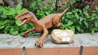 VELOCIRAPTOR A CONTROL REMOTO