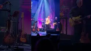 the story of the cats 28 november de lawei Drachten