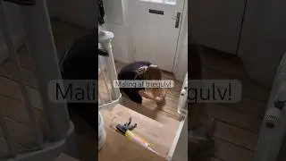 Guide til maling af tr&aelig;gulve!