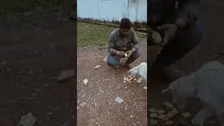 🥰🐶