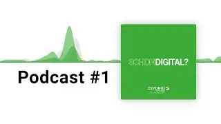 schon digital? - #1 Was ist Digitale Transformation