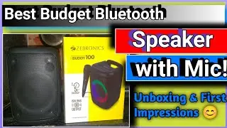 Zebronics Zeb Buddy 100 Unboxing & First Impressions | Best Budget Bluetooth Speaker with Mic!