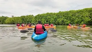 Mangrove Kayaking | Varkala | Mangrove Village Adventures