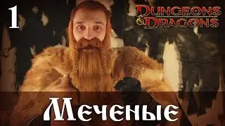 D&D 4ed 