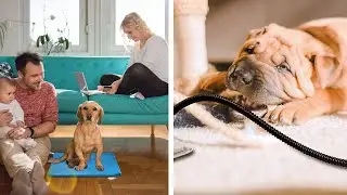 Top 5 Best Pet Heating Pads