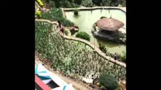 Bencab Museum