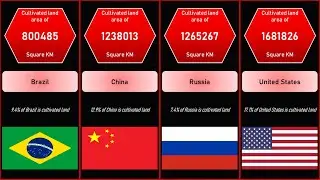 List of Most FERTILE Countries in the WORLD | Comparison