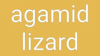 Agamid Lizard Definition & Meaning