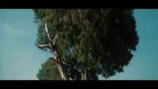 vagamon cinematic | travel film |