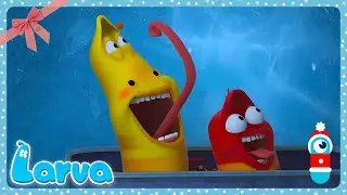 Buz Pateni! | LARVA | WildBrain Çocuklar