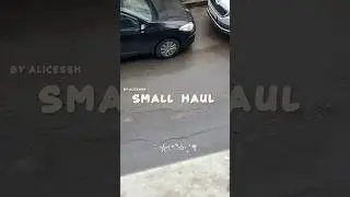 small haul  𓏲*ੈ🎐 произошли некоторые неполадки с качеством, но я надеюсь это не сильно режет глаз!