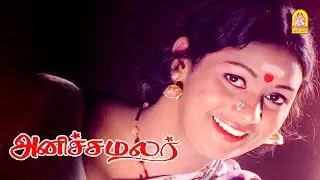 எனக்கு எல்லாமே நீங்க தான் ! |Anicha Malar HD Movie | Raja Bahadoor | Lakshmi Kala |Ganthimathi
