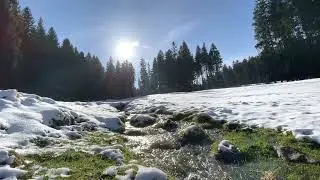Th&uuml;ringen wald - Thuringian forest