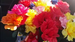 MY SON AND I DID A FLOWER PROJECT AT LOCAL CEMETERY MIGHT SEE YOUR FAMILY MEMEBERS