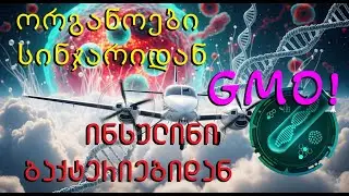 ცოტნე ჯავახიშვილის საჩუქარი საქართველოს. ლოქორა, ფაროსანა, ციყვი,  ჭექა-ქუხილი და ჭიანჭველები.