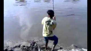 temoleh.mp4