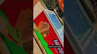 hocco Ice cream fridge
