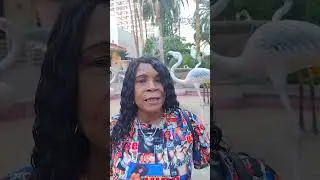 Booksi.com Customer Review of the Flamingo Las Vegas