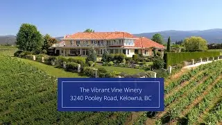 For Sale | The Vibrant Vine Winery, BC