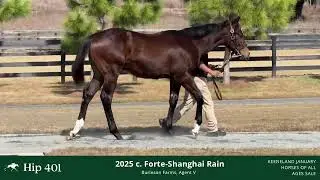 Hip 401 25 Shanghai Rain