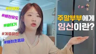 주말부부의 험난한(?) 임신과정(유산 후 이야기)