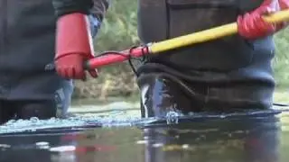 Pêche électrique pour compter les poissons (Mussy-sur-Seine)