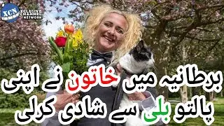 In Britain a woman married her pet cat meowing | XCN