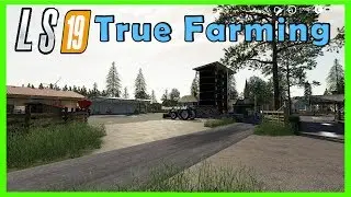 LS19 - Unfall am Hafen 👑 True Farming #84 👑 Landwirtschafts Simulator 2019