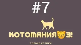 КОТО-NEWS. ПЛАНЫ ПОМЕНЯЛИСЬ...
