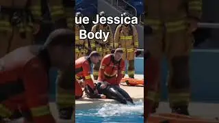 Jessica's Body Rescue🧑&zwj;🚒🐬😢 #trending #jessica #viral #shorts