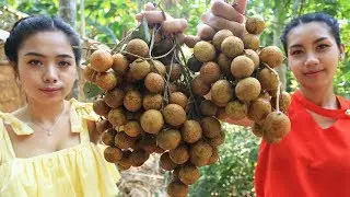 Yummy cooking dessert Longan fruit recipe - Cooking skill