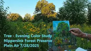 Tree - Evening Color Study - Nippersink Forest Preserve - Plein Air 7/28/2025