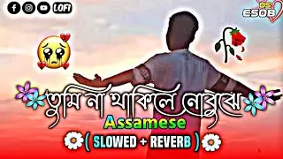 Tumi Naa Thakile Nobuje ❤️ || Assamese Lofi Song || তুমি না থাকিলে নোবুঝে গান || Sad Slowed Lofi |
