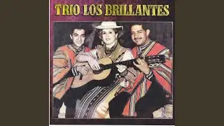 Pasado Gris