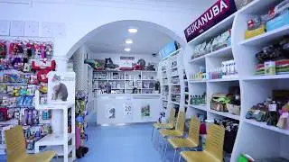 Modern Veterinary Clinic | Professional Videography Services | Promo