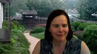 Effective Advocacy: Lessons from East Asian Environmentalists
