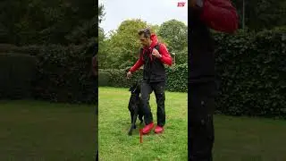 How To Heel! #shorts