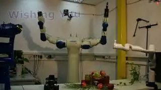 Robotic laboratory New year video- control Yaskawa SDA10F using ROS