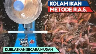 R.A.S. Fish Pond Method Explained Easily