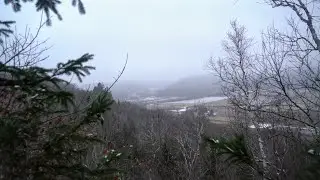 Whitetail Weather Hunting Forecast BP Myth Tips