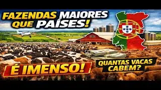 Quais São as 5 MAIORES FAZENDAS DO MUNDO?
