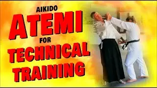 AIKIDO ATEMI FOR TECHNICAL TRAINING